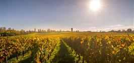Visite de vignoble a Bordeaux - Hôtel de Sèze